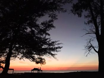 Silhouette trees on shore against sky during sunset