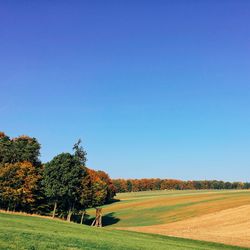 Scenic view of field against blue sky