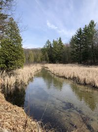Scenic view of lake against sky