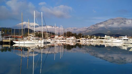 Sailboats in marina