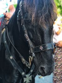 Close-up of person wearing mask