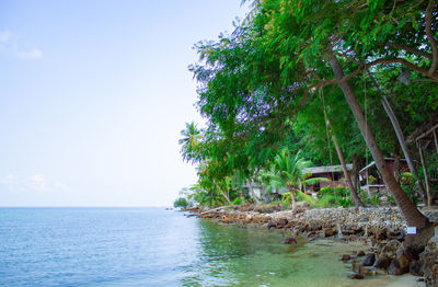 Scenic view of sea against clear sky