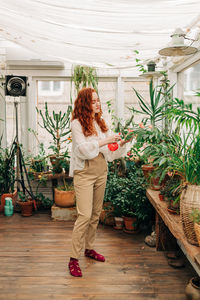 Serene red haired female spraying water on leaves of potted plant from bottle in house