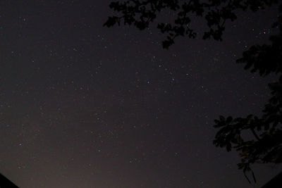 Low angle view of silhouette trees against sky at night