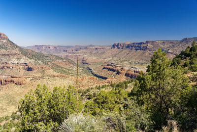 Scenic view of landscape against clear sky