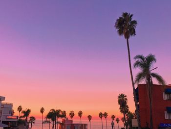 Low angle view of silhouette palm trees against sky at sunset