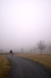 Rear view of man walking on field