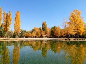 Scenic view of lake by trees against clear sky