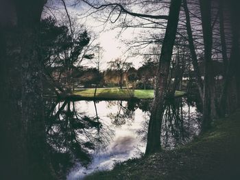 Reflection of trees in lake against sky