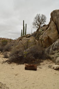 Lifeguard hut on desert against sky