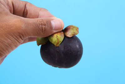 Close-up of hand holding fruit