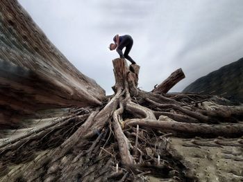 Low angle view of man climbing on rock