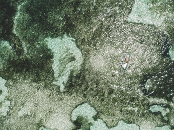 High angle view of horse in sea during winter