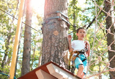 Low angle view of boy on obstacle course in forest