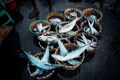 High angle view of fish on metal