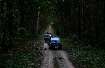 Road passing through forest