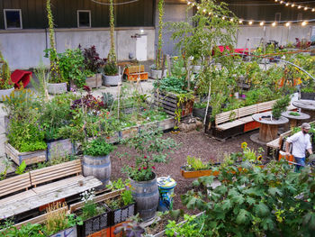 High angle view of potted plants