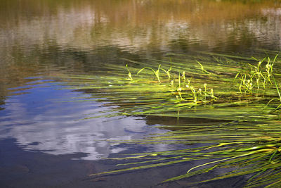 High angle view of rippled water in lake