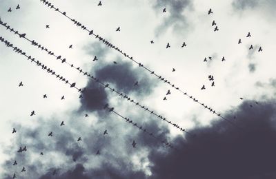 Low angle view of birds flying against cloudy sky