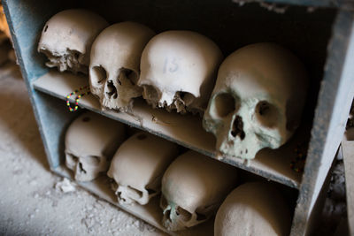 High angle view of human skull