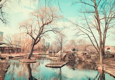 Bare trees by lake against sky in city