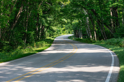 Winding country road through the woods