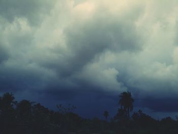 Storm clouds over trees against sky