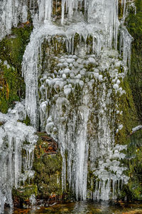 Scenic view of waterfall in forest during winter