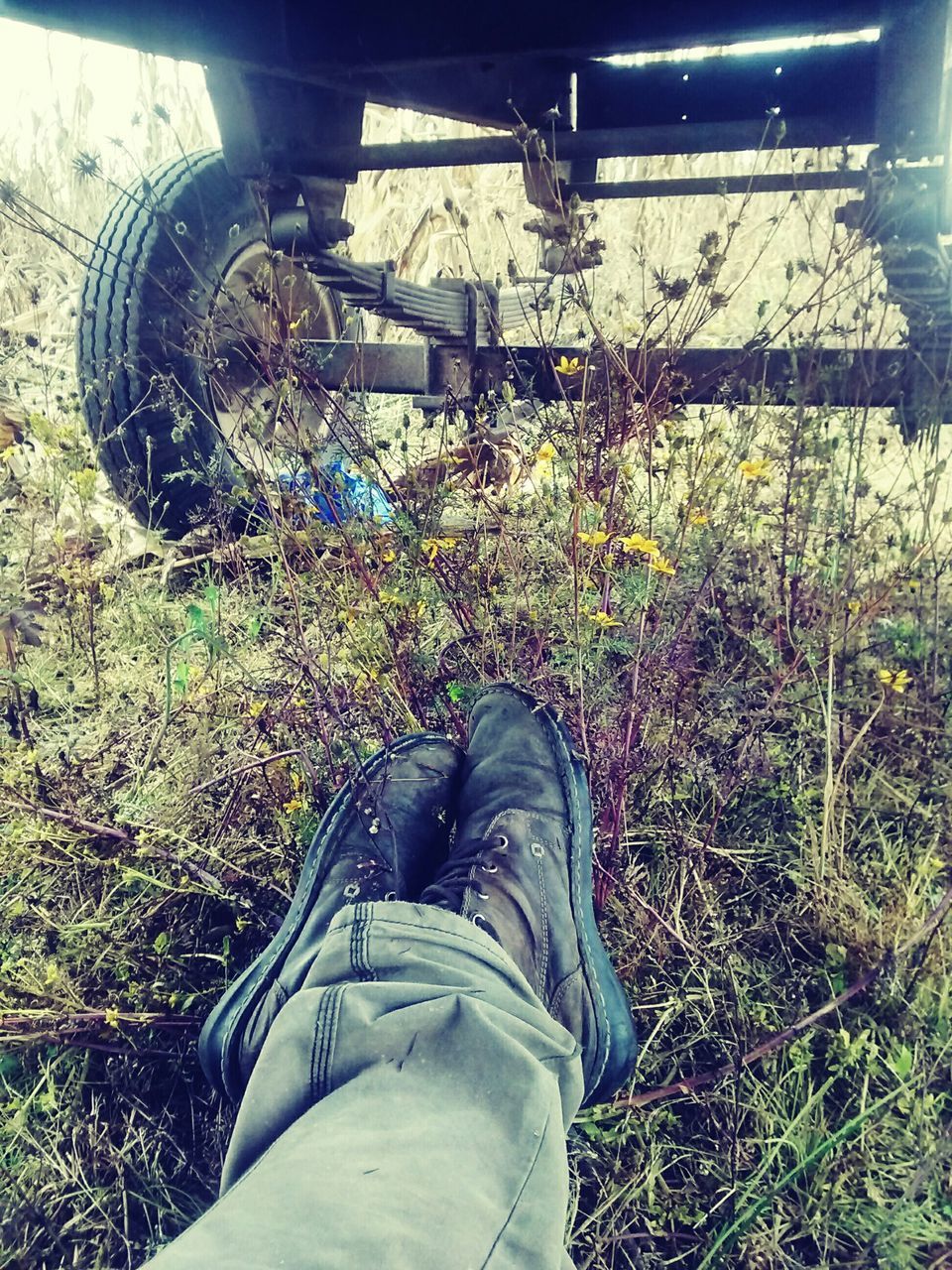 low section, person, shoe, lifestyles, personal perspective, standing, men, jeans, leisure activity, casual clothing, human foot, high angle view, footwear, grass, unrecognizable person, plant, day