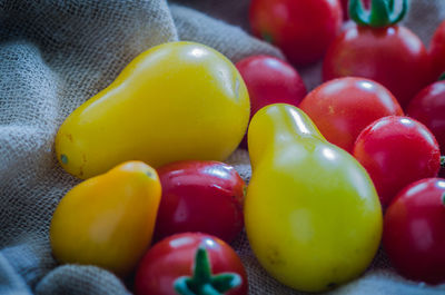 Close-up of multi colored tomatoes