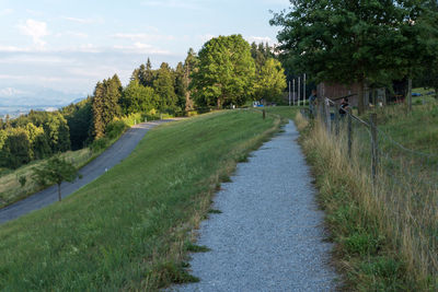 Road amidst trees against sky