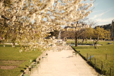People walking in park