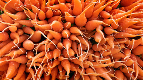 Full frame shot of orange fruits for sale at market