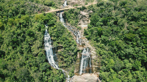 High angle view of road amidst trees in forest