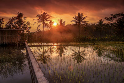 Scenic view of lake against sky during sunset