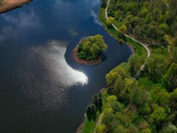 High angle view of sea and trees