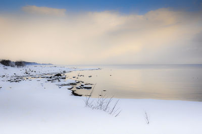 Birds flying over sea against sky