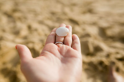 Close-up of hand holding seashell on sand