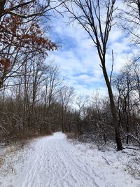 Bare trees on snow covered landscape