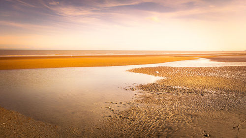 Scenic view of beach during sunset