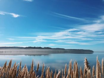 Panoramic view of landscape against blue sky