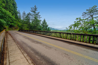 Railing on highway against forest