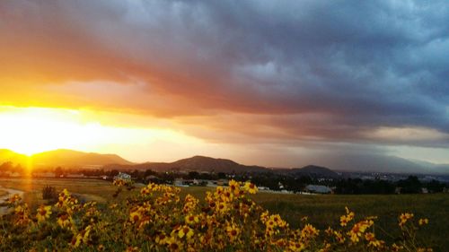 Scenic view of field against sky at sunset