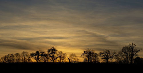 Silhouette trees against sky during sunset