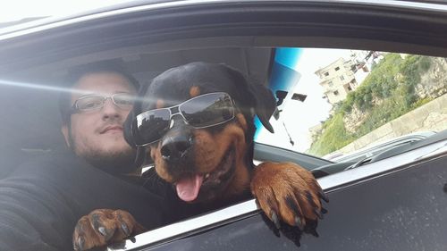 Dog on man in car