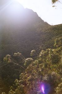 Scenic view of mountains