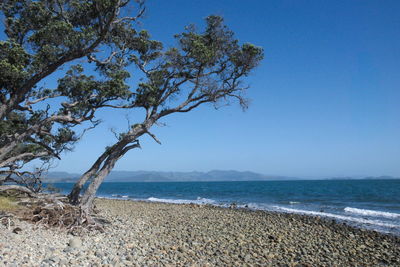 Scenic view of sea against clear blue sky