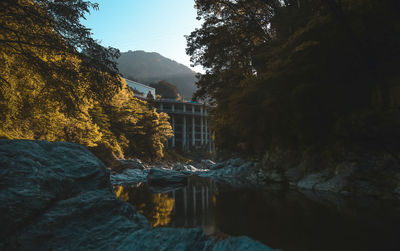 Scenic view of river amidst trees against clear sky