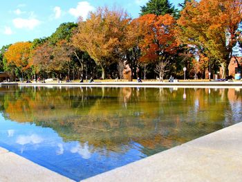 Reflection of trees in swimming pool against sky