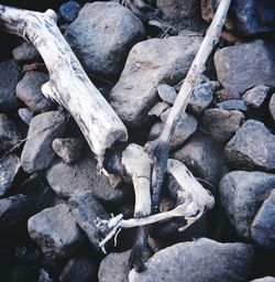 Full frame shot of pebbles